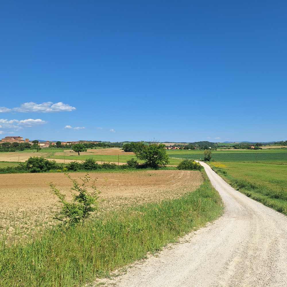 Oltre alla Val d’Orcia: un viaggio tra le splendide Crete Senesi e lungo la Via Francigena. 39