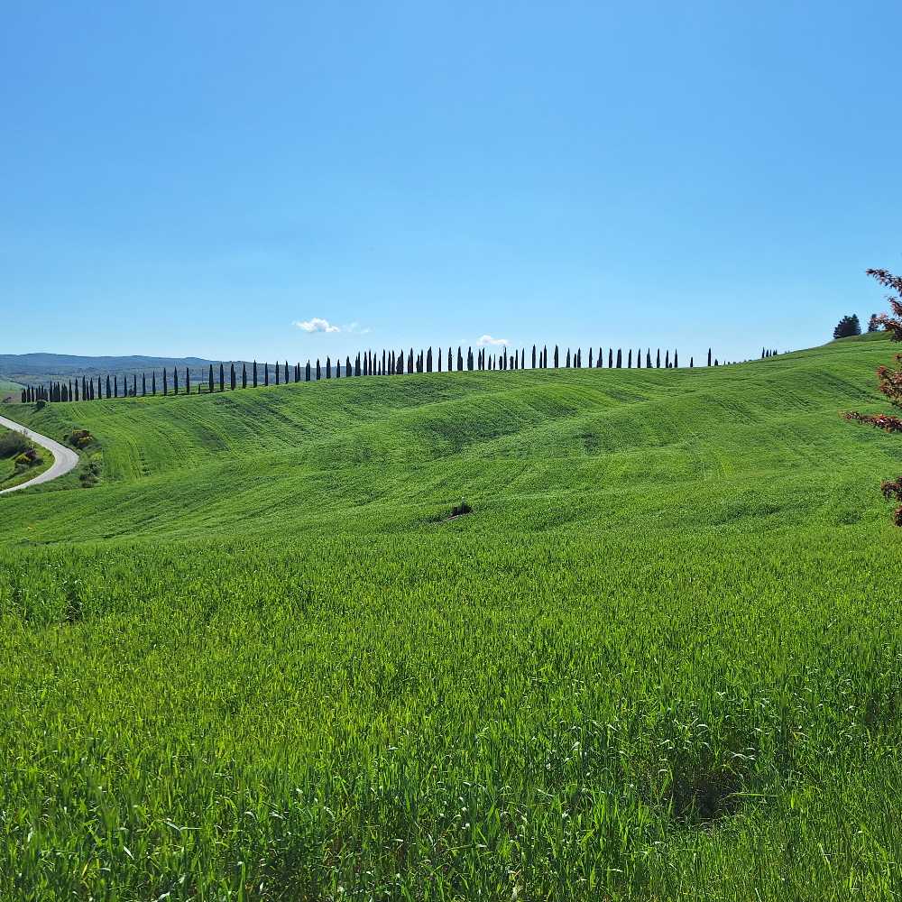 Oltre alla Val d’Orcia: un viaggio tra le splendide Crete Senesi e lungo la Via Francigena. 43