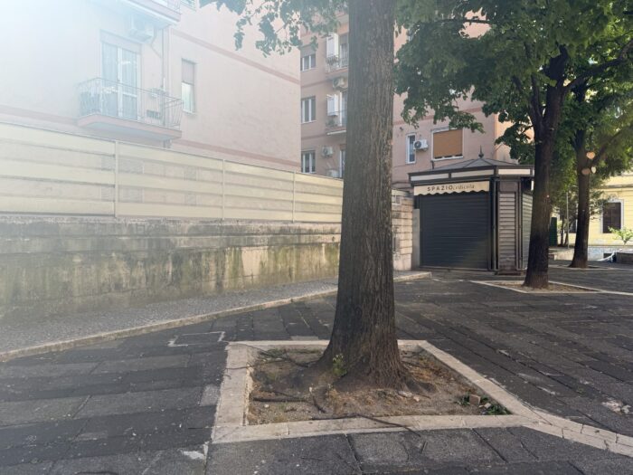 Piazza Bolognini, Ci Risiamo: Rapina E Arresto – 3