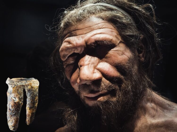 Scoperto un molare di Neanderthal di 59mila anni fa 2