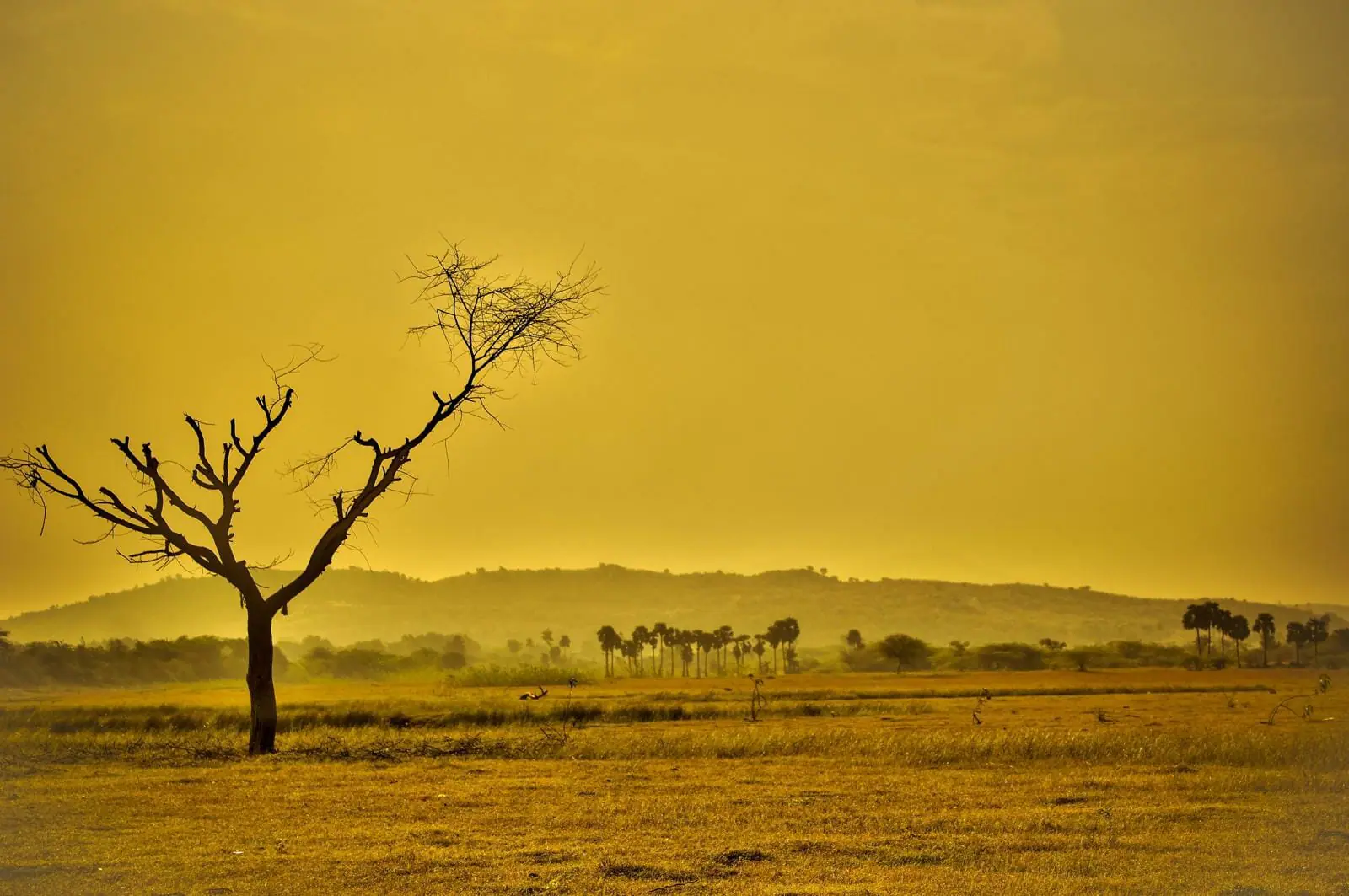 Temperatura media globale verso la soglia dei 1,5 °C, 2030 2