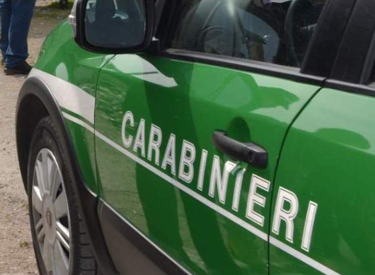 Abusi Edilizi Nel Cilento, Due Cantieri Sotto Sequestro 3