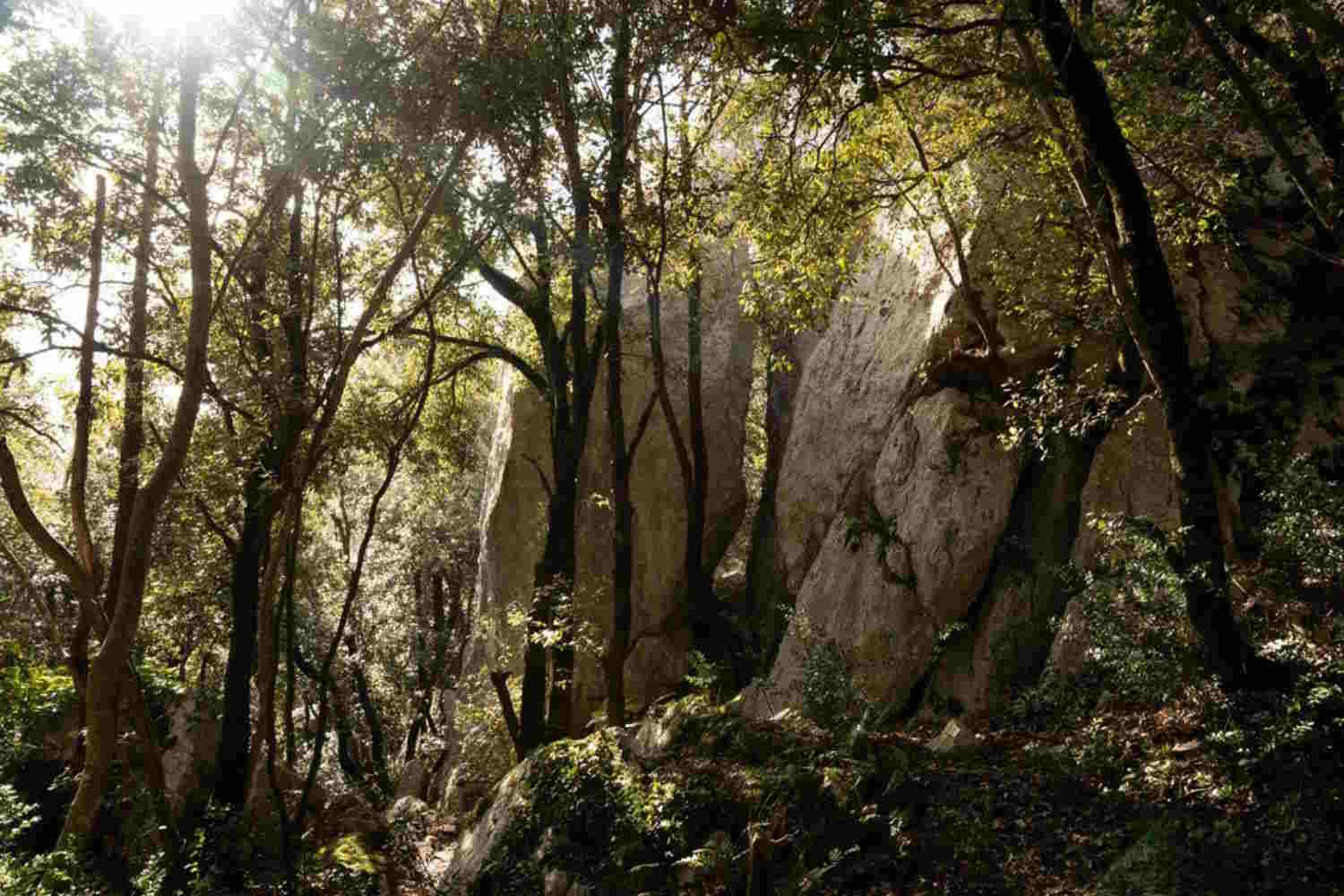 Definito il cuore verde dell’Umbria, Massa Martana ospita una Stonehenge: ecco perché sta attirando l'attenzione di tutti. 13