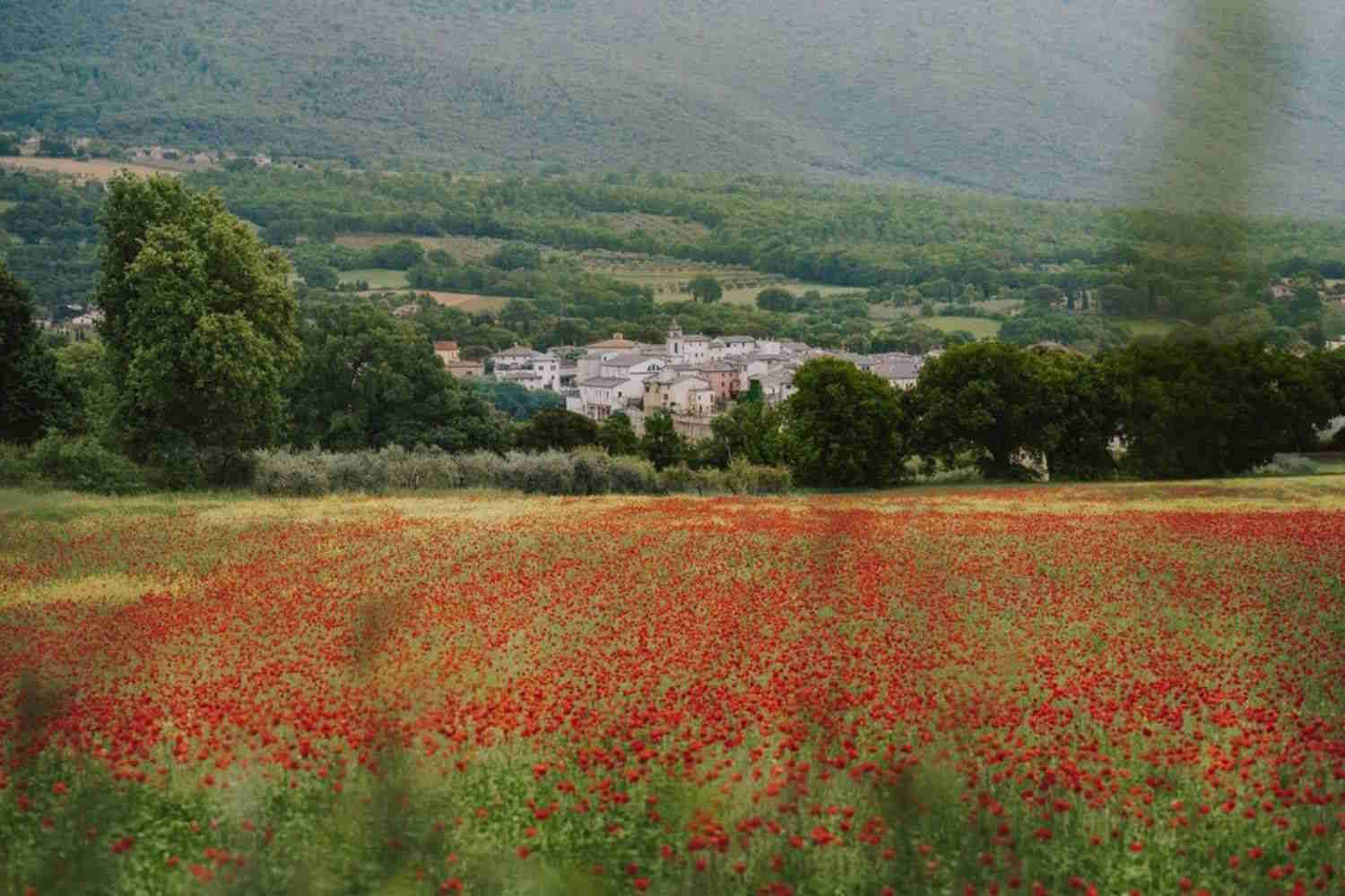 Definito il cuore verde dell’Umbria, Massa Martana ospita una Stonehenge: ecco perché sta attirando l'attenzione di tutti. 11