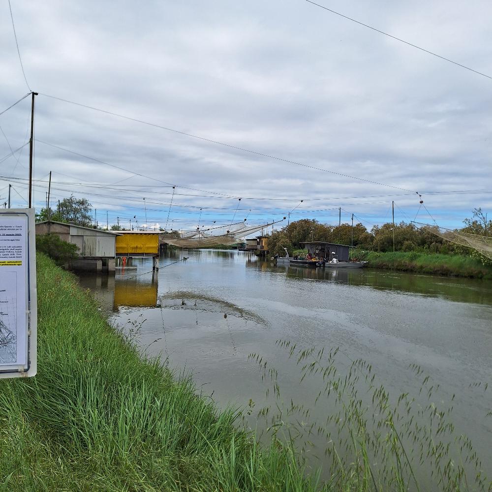 Ho visitato Comacchio, la "piccola Venezia" dell'Emilia, e desidero condividere un'esperienza imperdibile immersi tra i fenicotteri. 31