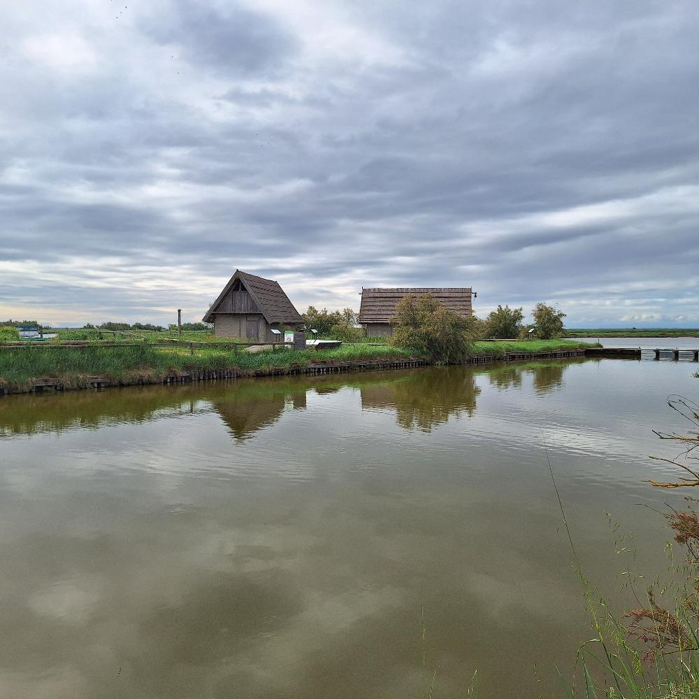 Ho visitato Comacchio, la "piccola Venezia" dell'Emilia, e desidero condividere un'esperienza imperdibile immersi tra i fenicotteri. 35