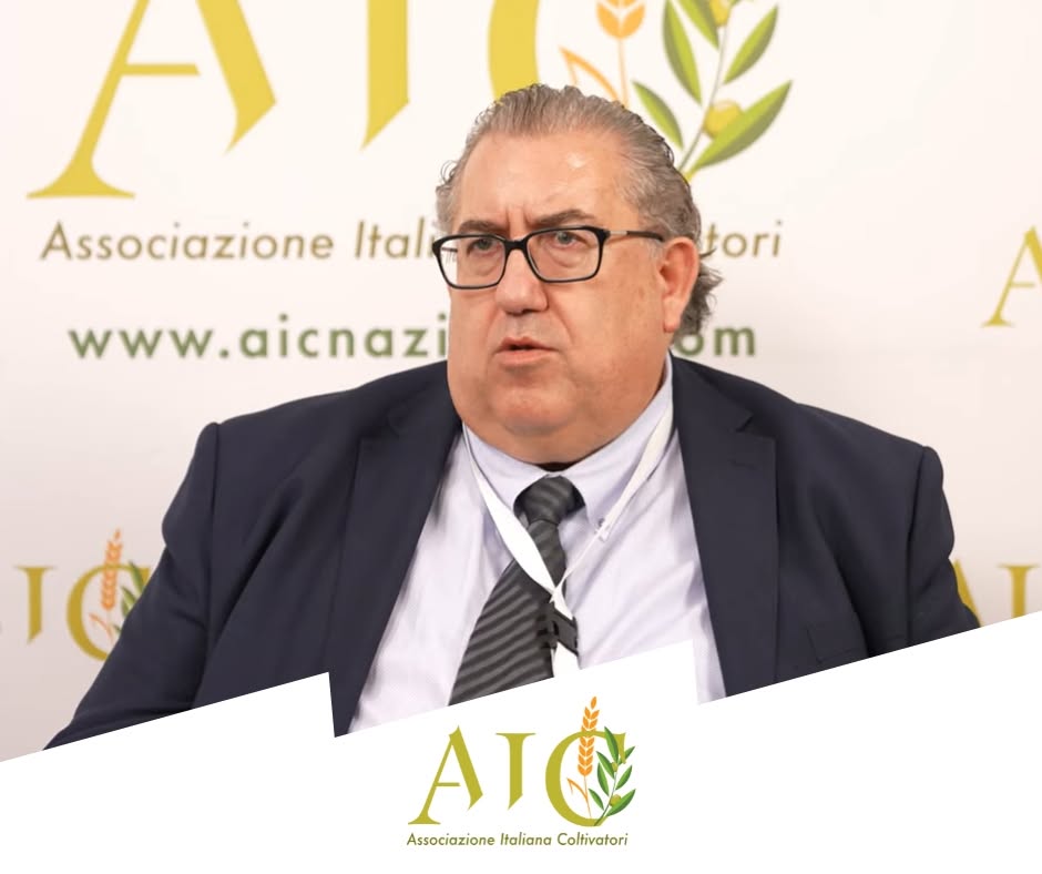 “Il Made In Italy Passa Anche Dal Mare”, Nasce L’associazione Italiana Coltivatori Pesca Salerno 3
