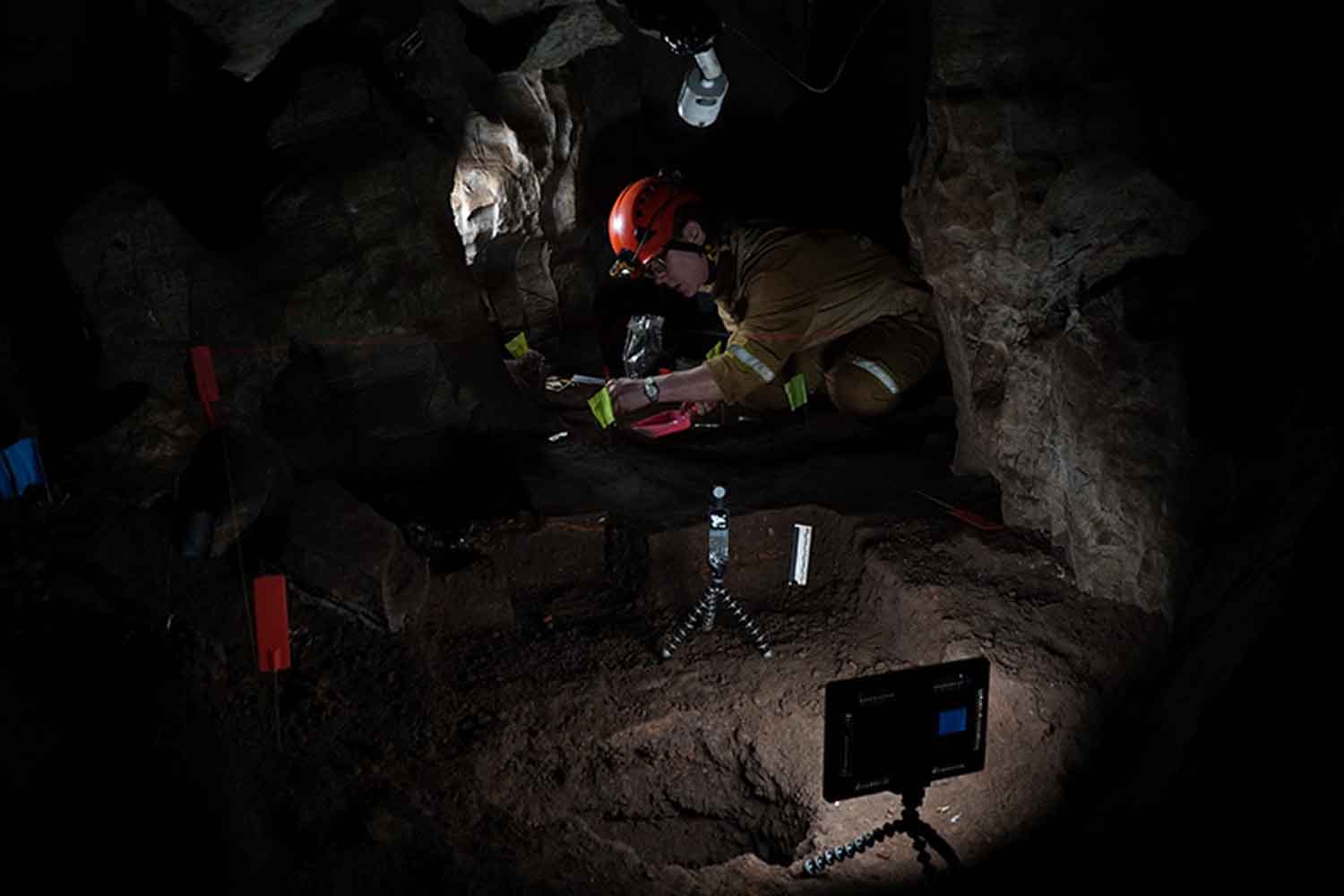 Il mistero degli scheletri di Homo Naledi: perché nella culla dell'umanità sono presenti solo resti femminili? 5