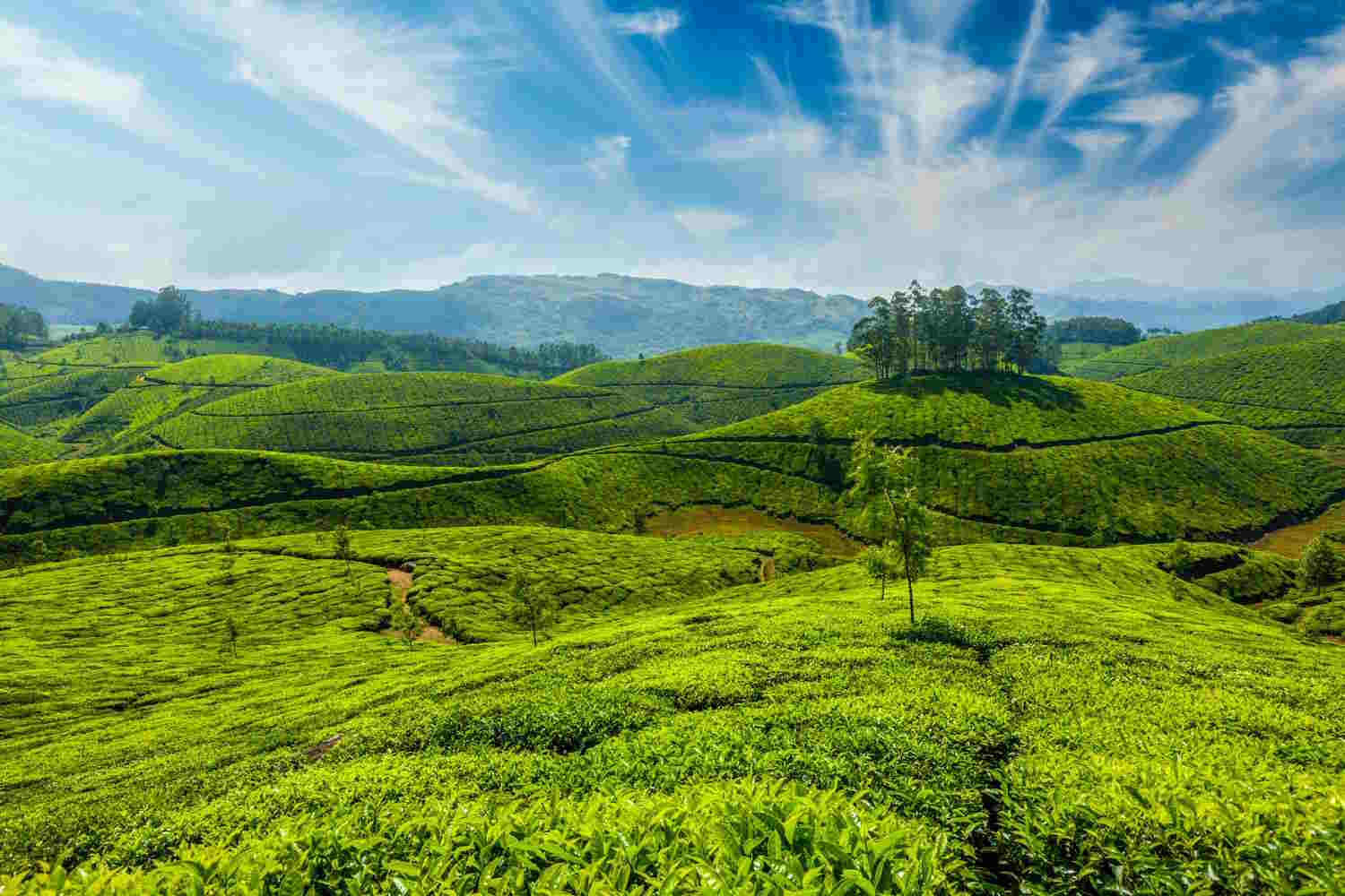 India: attrazioni da scoprire? La guida da consultare prima di intraprendere il primo viaggio 15