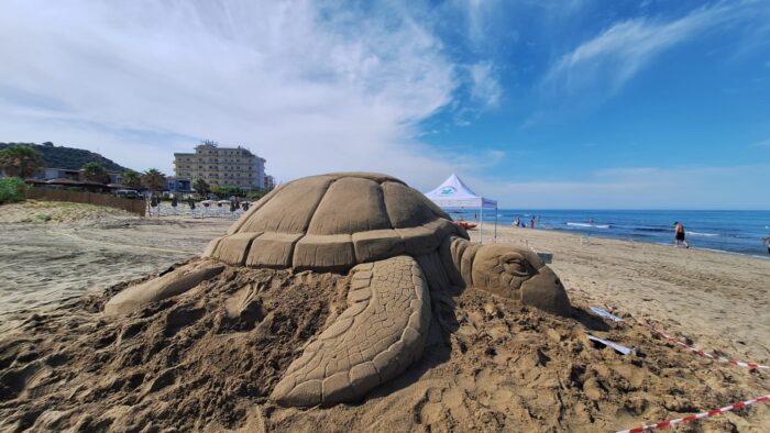 Nasce Una Tartaruga Gigante Sulla Spiaggia Di Acciaroli 3