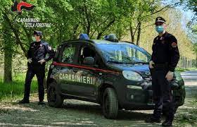 Rifiuti Speciali In Un Fondo Agricolo Di Eboli, Sequestro E Denuncia 3
