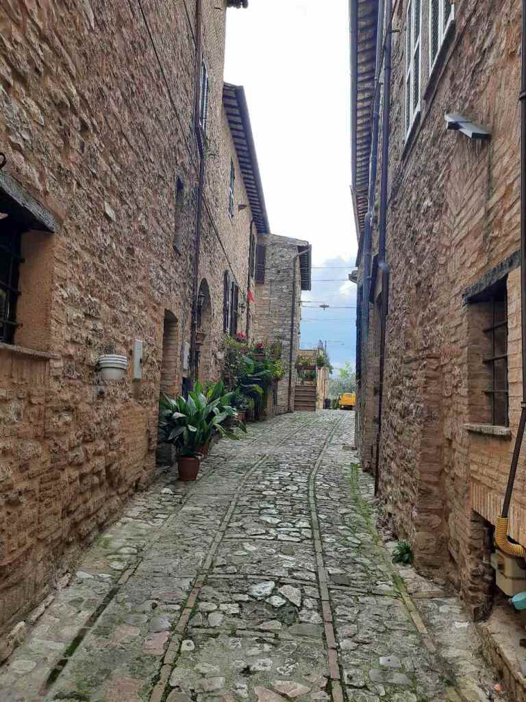 Scopri Spello, il suggestivo borgo umbro noto per l'Infiorata, caratterizzato da vicoli ricchi di colori e profumi. 19
