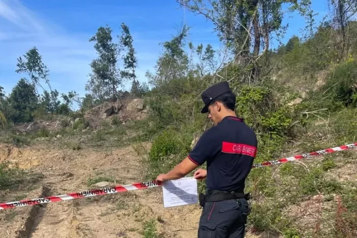 Trasformazione Abusiva Del Territorio, Sequestrato Un Bosco Di 30Mila Metri Quadrati 4 Trasformazione Abusiva Del Territorio, Sequestrato Un Bosco Di 30Mila Metri Quadrati 3