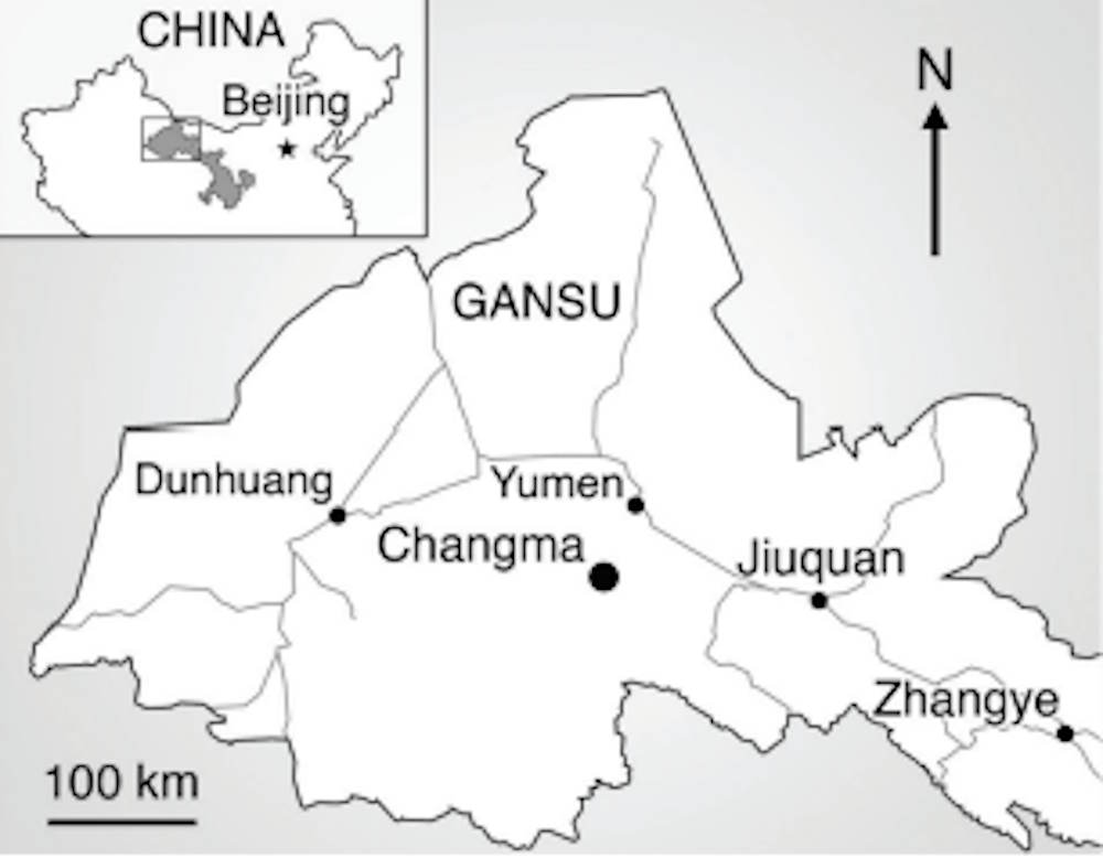 Un nuovo dinosauro è stato identificato in Cina, descritto come un "drago con quattro ali". 3