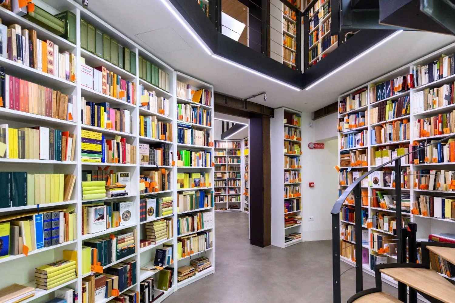 A Bologna è stata aperta la Biblioteca Eco, dove sono disponibili per la consultazione oltre 32mila opere del semiologo scomparso dieci anni fa. 3