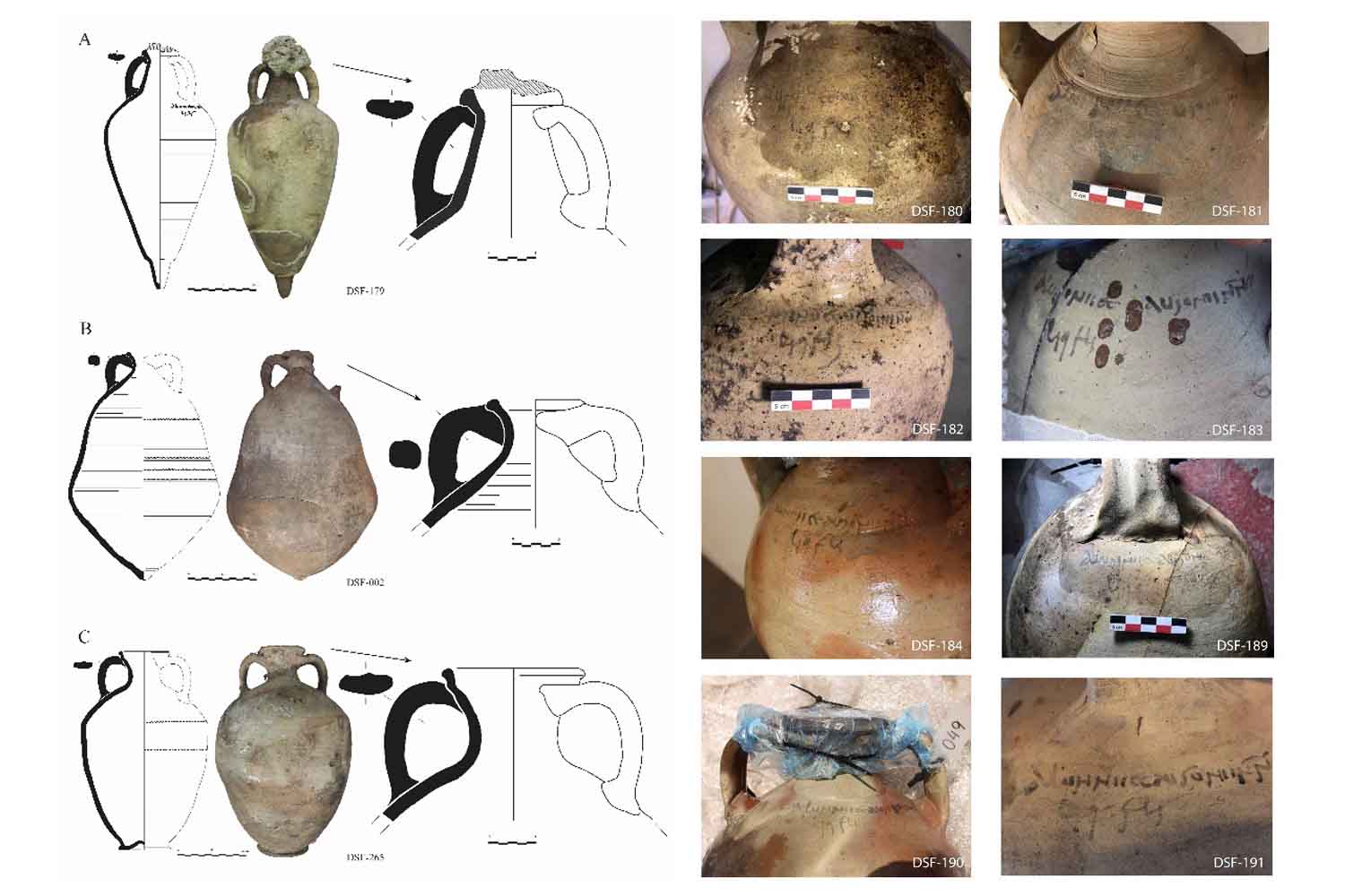 A Maiorca riemerge un'imbarcazione romana di 1.700 anni con il suo carico di anfore e strumenti musicali quasi intatto. 13