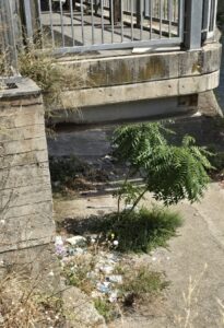 Discarica Sull’irno, Rifiuti Verso Il Mare. La Segnalazione Dei Residenti 12 Discarica Sull’irno, Rifiuti Verso Il Mare. La Segnalazione Dei Residenti 11