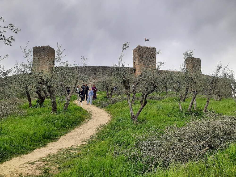 Esplora la Val d’Elsa tra villaggi medievali e panorami pittoreschi delle colline toscane lungo il percorso della Via Francigena. 52 Esplora la Val d’Elsa tra villaggi medievali e panorami pittoreschi delle colline toscane lungo il percorso della Via Francigena. 51