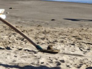 Evacuata La Spiaggia Di Mercatello: Ritrovato Ordigno Bellico Trascinato Dalle Onde 7