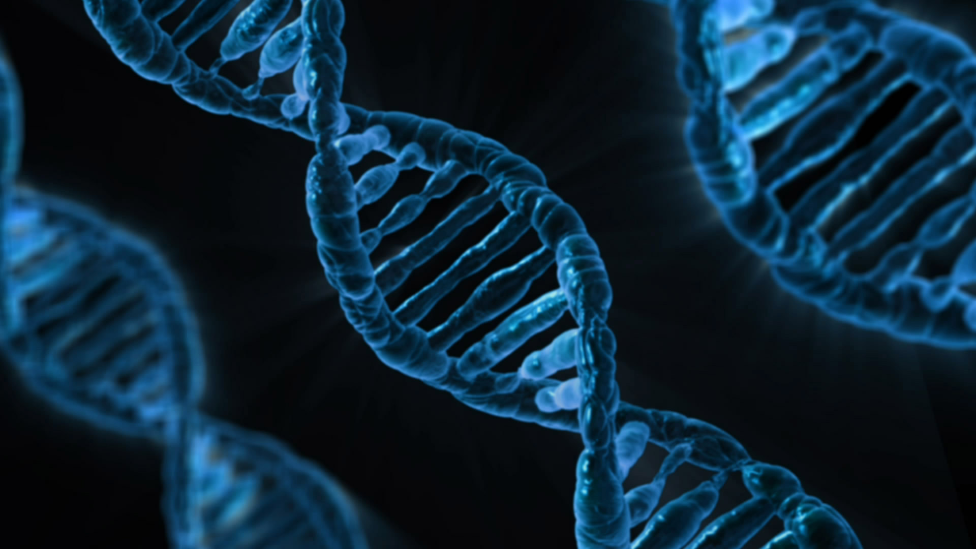 Gli inibitori Ku-DBi cambieranno il trattamento dei tumori? 2