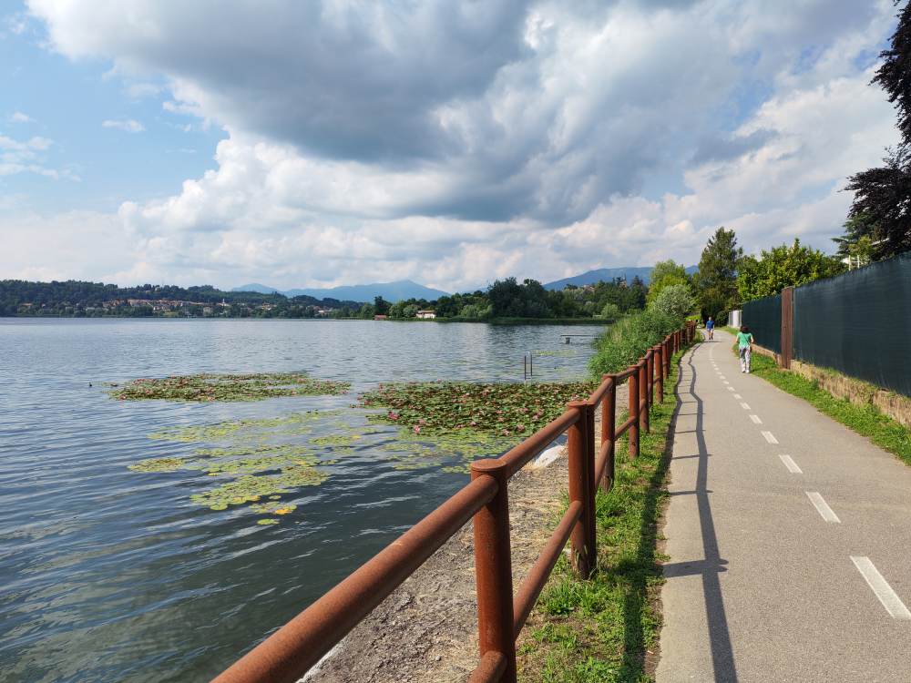 Ho percorso in bicicletta la pista ciclopedonale del Lago di Comabbio, caratterizzata da una passerella panoramica sopra l'acqua e una Panchina Gigante. 26 Ho percorso in bicicletta la pista ciclopedonale del Lago di Comabbio, caratterizzata da una passerella panoramica sopra l'acqua e una Panchina Gigante. 25