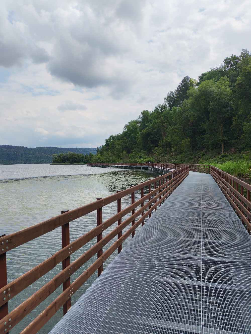 Ho percorso in bicicletta la pista ciclopedonale del Lago di Comabbio, caratterizzata da una passerella panoramica sopra l'acqua e una Panchina Gigante. 36 Ho percorso in bicicletta la pista ciclopedonale del Lago di Comabbio, caratterizzata da una passerella panoramica sopra l'acqua e una Panchina Gigante. 35
