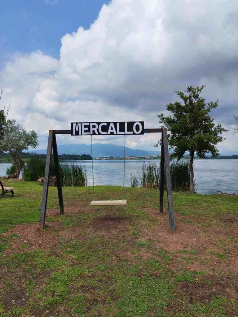 Ho percorso in bicicletta la pista ciclopedonale del Lago di Comabbio, caratterizzata da una passerella panoramica sopra l'acqua e una Panchina Gigante. 42 Ho percorso in bicicletta la pista ciclopedonale del Lago di Comabbio, caratterizzata da una passerella panoramica sopra l'acqua e una Panchina Gigante. 41