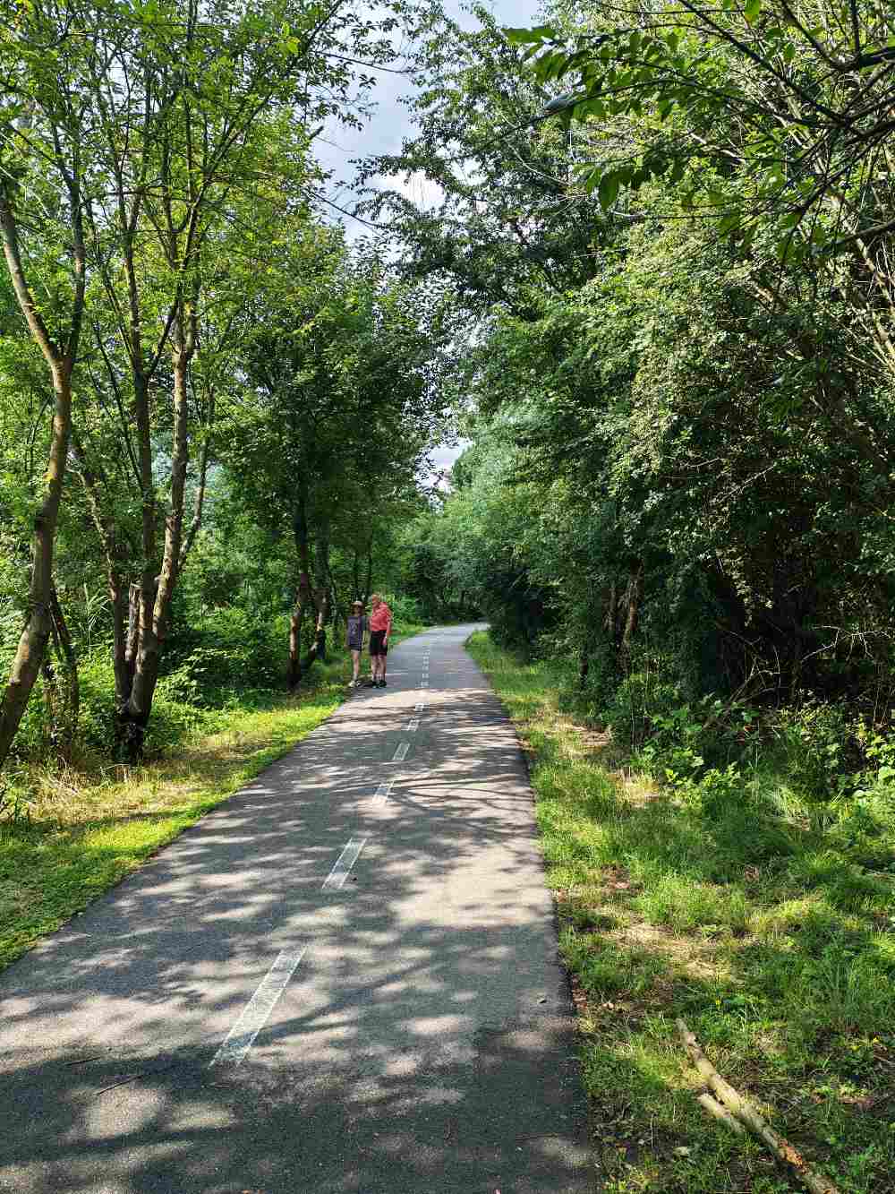 Ho percorso in bicicletta la pista ciclopedonale del Lago di Comabbio, caratterizzata da una passerella panoramica sopra l'acqua e una Panchina Gigante. 30 Ho percorso in bicicletta la pista ciclopedonale del Lago di Comabbio, caratterizzata da una passerella panoramica sopra l'acqua e una Panchina Gigante. 29