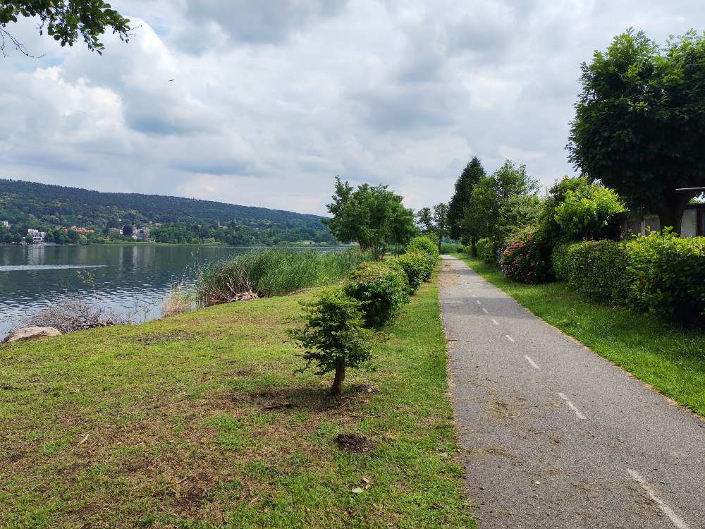 Ho percorso in bicicletta la pista ciclopedonale del Lago di Comabbio, caratterizzata da una passerella panoramica sopra l'acqua e una Panchina Gigante. 48 Ho percorso in bicicletta la pista ciclopedonale del Lago di Comabbio, caratterizzata da una passerella panoramica sopra l'acqua e una Panchina Gigante. 47