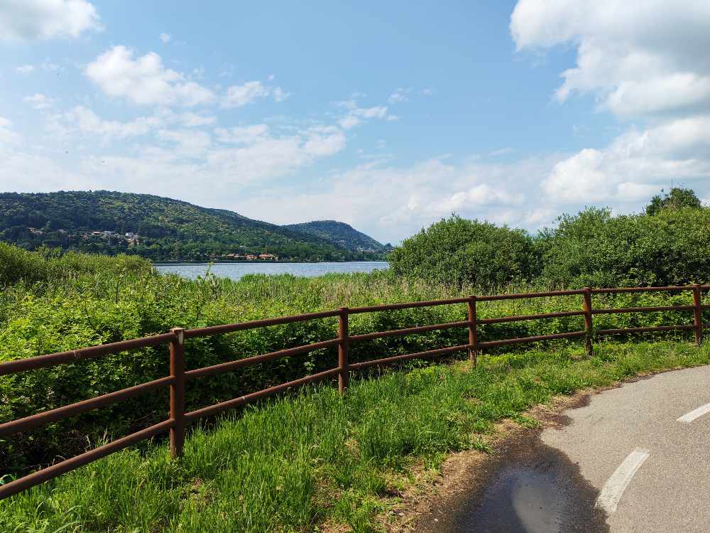 Ho percorso in bicicletta la pista ciclopedonale del Lago di Comabbio, caratterizzata da una passerella panoramica sopra l'acqua e una Panchina Gigante. 44 Ho percorso in bicicletta la pista ciclopedonale del Lago di Comabbio, caratterizzata da una passerella panoramica sopra l'acqua e una Panchina Gigante. 43