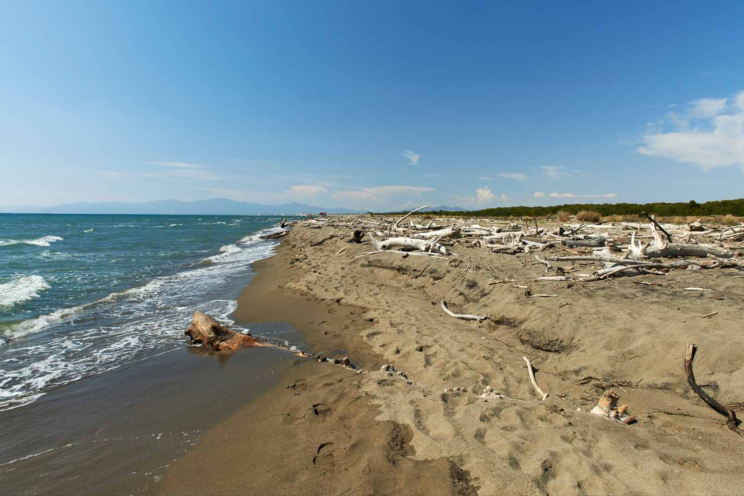 Le sei spiagge gratuite e incontaminate d'Italia selezionate dal Guardian. 23