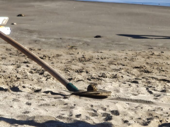 Salerno, Rimosso L’Ordigno Bellico Ritrovato Sulla Spiaggia Di Mercatello 3