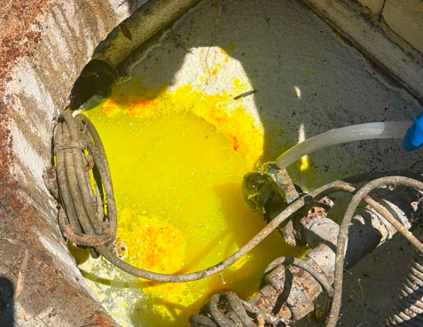 Scarico Illecito Di Reflui, Nei Guai Caseificio Di Capaccio Paestum 3