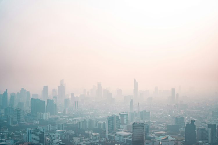 Emergenza sanitaria di malattie respiratorie a Nuova Delhi 2